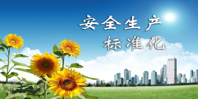 什么是安全生產(chǎn)標(biāo)準(zhǔn)化？